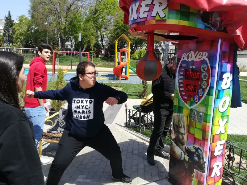 Arcade Boxing Machines for Business – Sofia