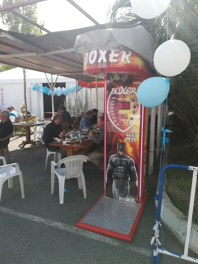 Export Boxing Machines – Made in Turkey for Sale