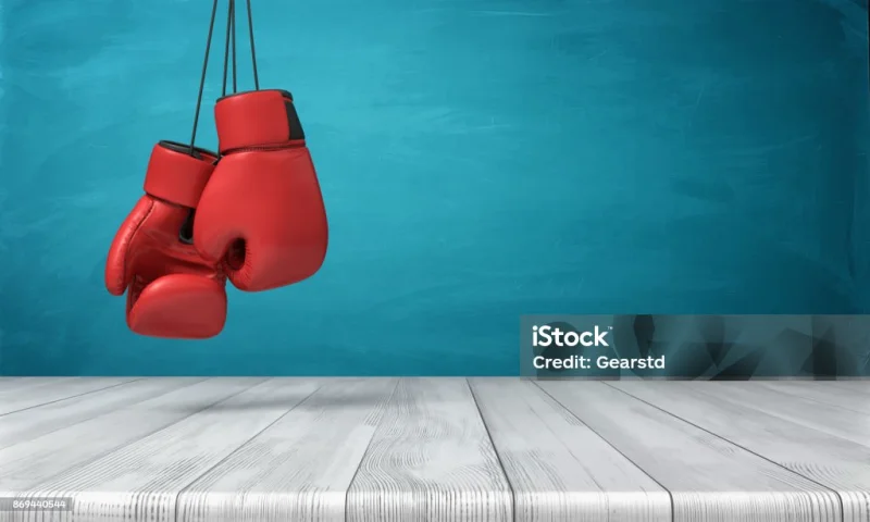 Punching machine export Turkey - Turkish boxing machine manufacturer